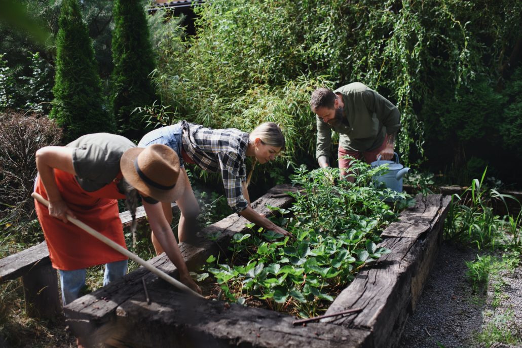 Nachbarschaftshilfe Gartenarbeit