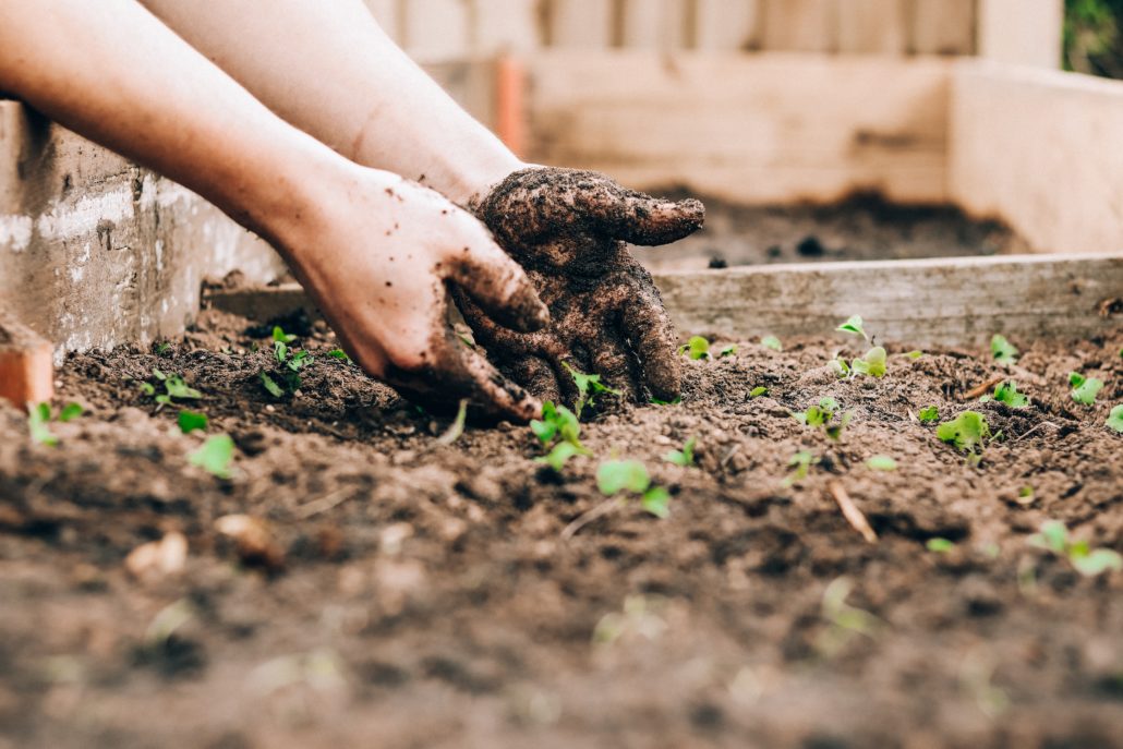 Hilfe für Gartenarbeit