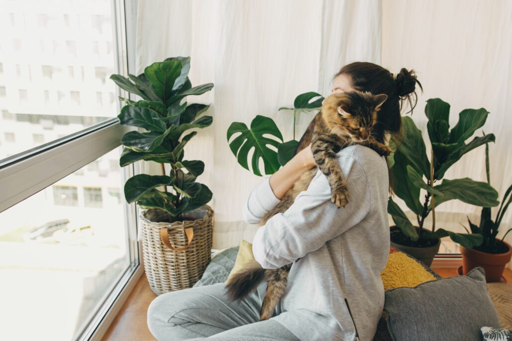 Katzensitter